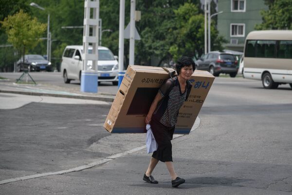 Женщина несет плазменный телевизор на улице Пхеньяна - Sputnik Латвия