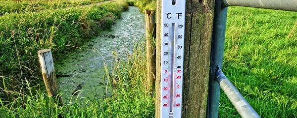 Уличный термометр Уличный термометр - Sputnik Latvija