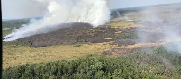 Пожар в Раматской волости Латвии у границ Эстонии Пожар в Раматской волости Латвии у границ Эстонии - Sputnik Latvija