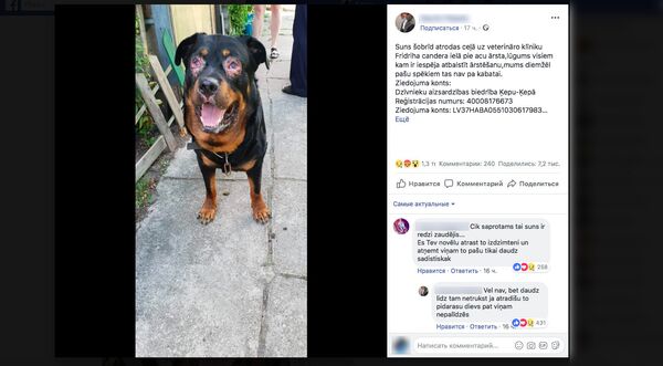 Пост жителя Мерсграгса Науриса, чью собаку ослепили - Sputnik Латвия