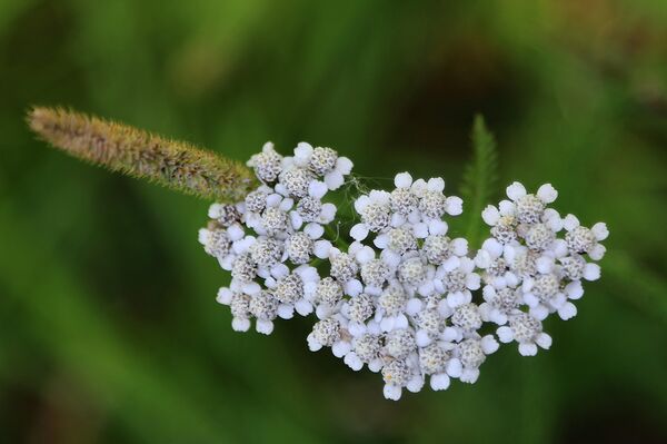 Дудник: мужчины, не проходите мимо!  - Sputnik Латвия