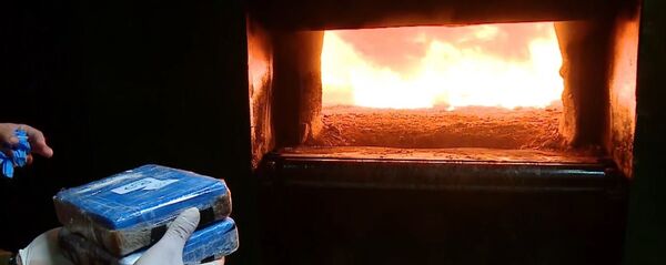 Narkotikas liesmās: Argentīnā sadedzināja 400 kg Eiropas kokaīna Narkotikas liesmās: Argentīnā sadedzināja 400 kg Eiropas kokaīna - Sputnik Latvija