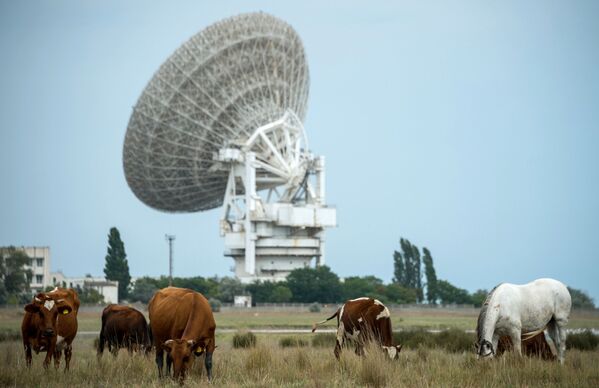 Radioteleskops P-2500 (RT 70) Kosmisko tālsakaru centra teritorijā netālu no Eipatorijas - Sputnik Latvija