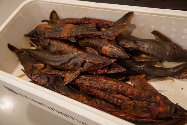 Стерлядь только что закоптилась - Sputnik Латвия