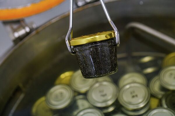 Банки с черной икрой - Sputnik Латвия