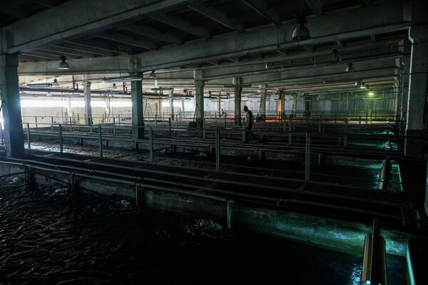 Ферма с бассейнами - Sputnik Латвия