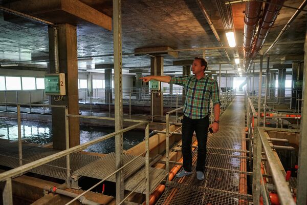 Каспарс Куприс - коммерческий директор завода - Sputnik Латвия