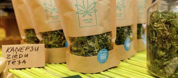 Чай из конопли Чай из конопли - Sputnik Latvija