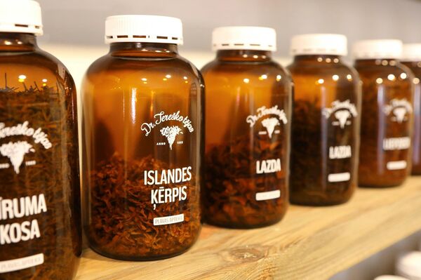 Травы в Луговой аптеке Травы в Луговой аптеке - Sputnik Латвия