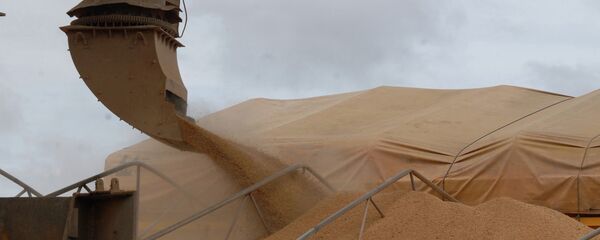 Соевый шрот - Sputnik Латвия