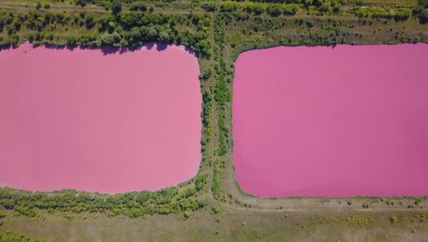 Розовые озера под Самарой - Sputnik Латвия