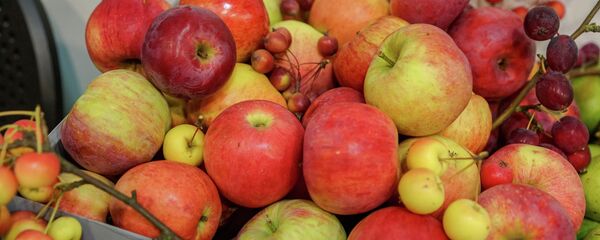 Латвийские яблоки Латвийские яблоки - Sputnik Latvija