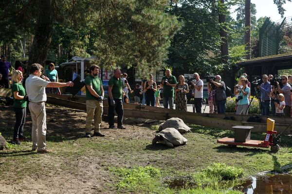 Традиционное взвешивание галапагосских черепах в Рижском зоопарке - Sputnik Латвия