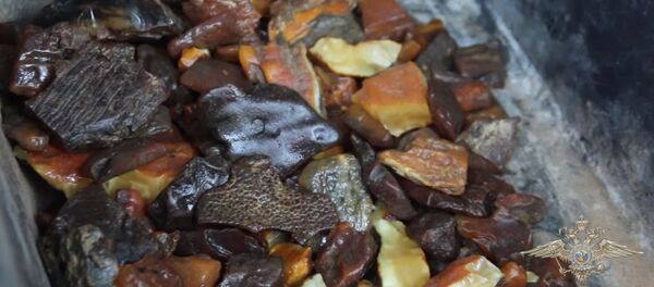 Nelegālais dzintara ieguvējs iekritis CSN pārkāpumā Nelegālais dzintara ieguvējs iekritis CSN pārkāpumā - Sputnik Latvija