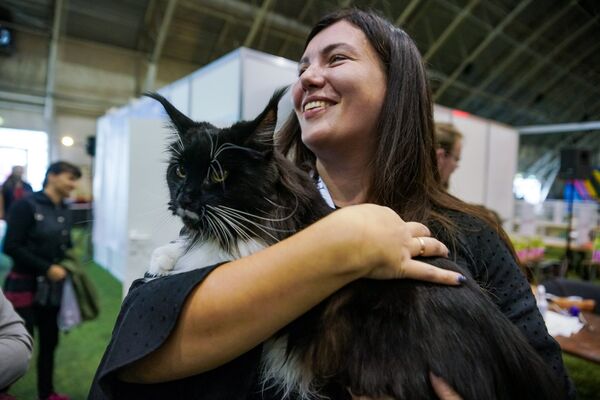 Выставка кошек в зале Сконто - Sputnik Латвия