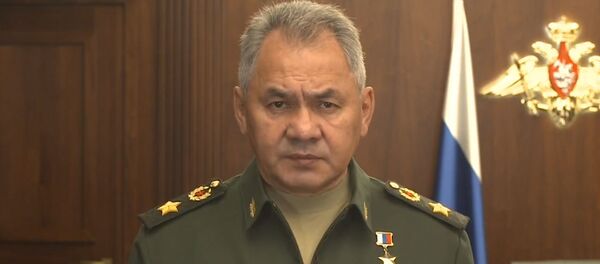 Сергей Шойгу о передаче Сирии комплексов С-300 Сергей Шойгу о передаче Сирии комплексов С-300 - Sputnik Латвия