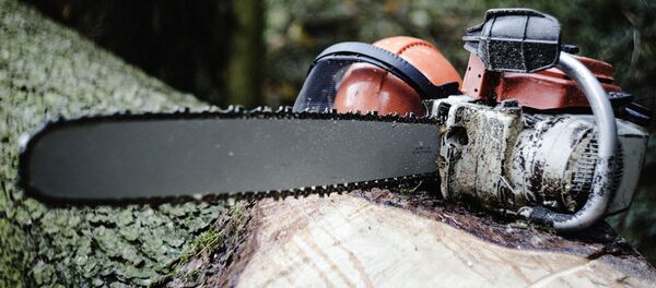 Motorzāģis Motorzāģis - Sputnik Latvija
