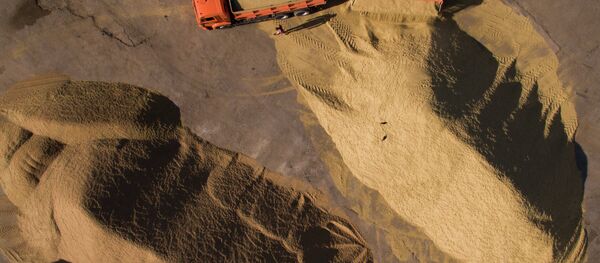 Уборка зерновых в Новосибирской области Уборка зерновых в Новосибирской области - Sputnik Latvija