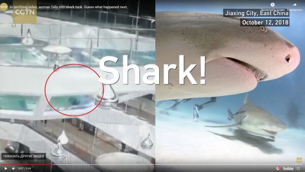Ķīnā tirdzniecības centra strādniece iekritusi baseinā ar izsalkušām haizivīm - Sputnik Latvija