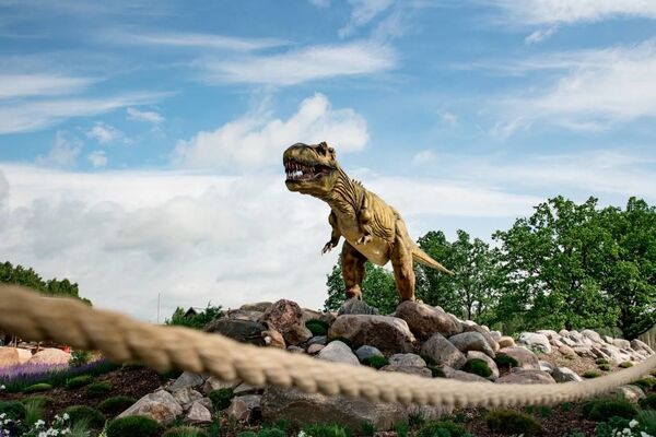 Самый успешный новый туристический объект: успей проголосовать Самый успешный новый туристический объект: успей проголосовать - Sputnik Латвия