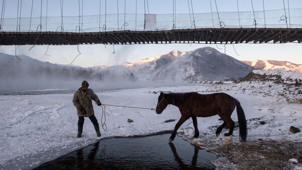 Мужчина привел коня на водопой на реке Катунь близ села Тюнгур в Усть-Коксинском районе Республики Алтай - Sputnik Латвия