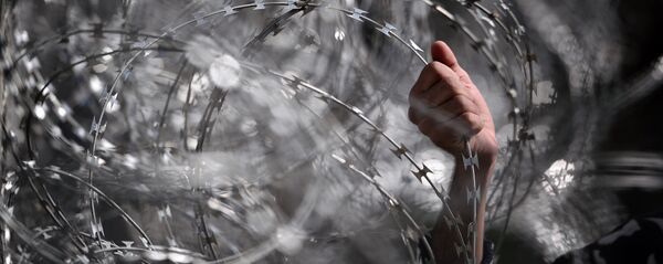 Dzeloņstieples uz robežas Dzeloņstieples uz robežas - Sputnik Latvija