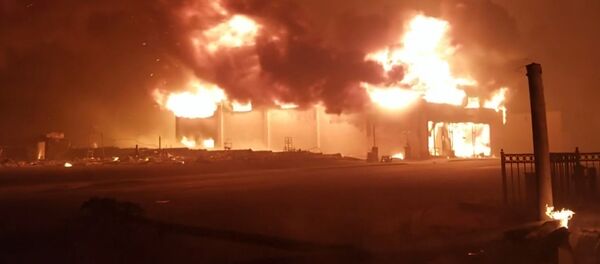 Не мог дышать, глаза не видели: очевидец о пожаре в Калифорнии Не мог дышать, глаза не видели: очевидец о пожаре в Калифорнии - Sputnik Latvija